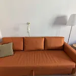 Apartment In Zizkov -202-