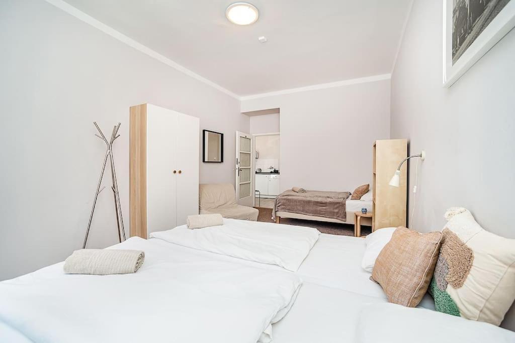 In Zizkov -202- Appartement