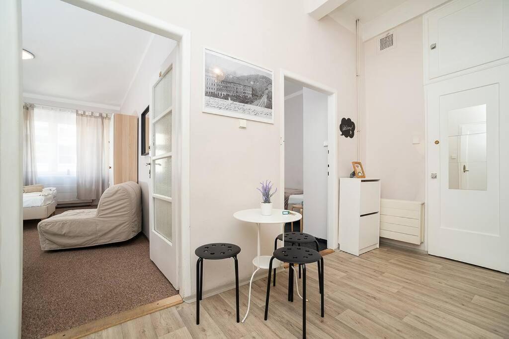 Appartement In Zizkov -202-