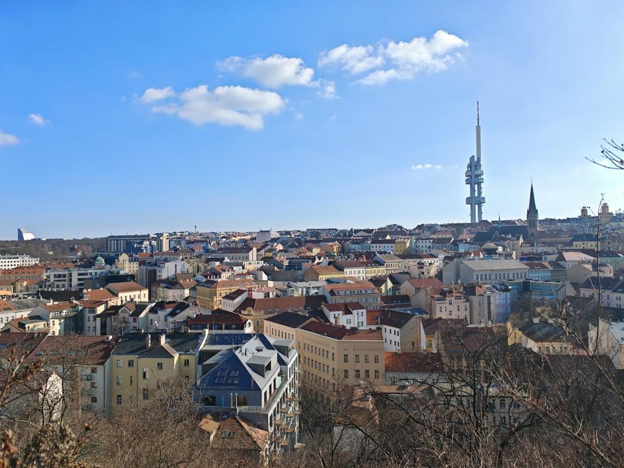 Appartement In Zizkov -202-