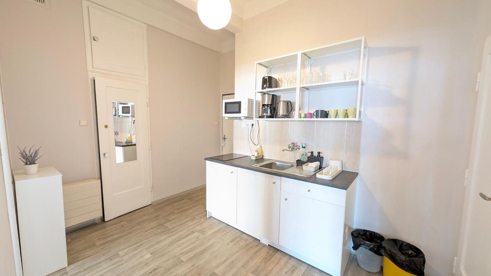 Apartment In Zizkov -202-